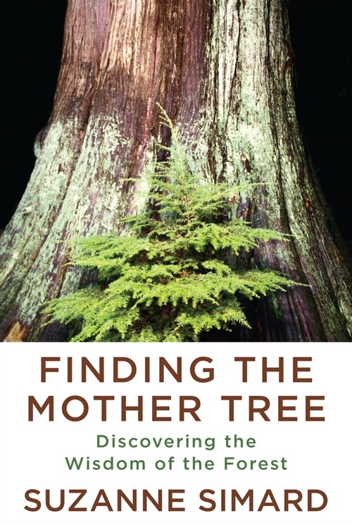 [중고] Finding the Mother Tree: Discovering the Wisdom of the Forest (Hardcover)