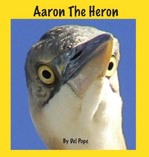 Aaron The Heron (Hardcover)