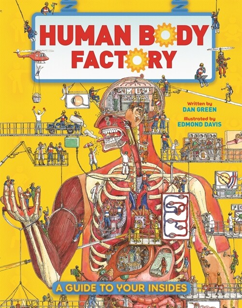 The Human Body Factory: A Guide to Your Insides (Hardcover)