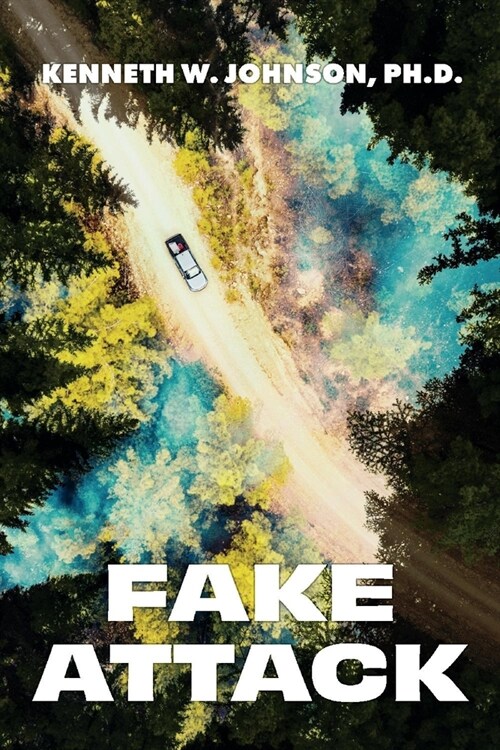 1st Novel: Fake Attack (Paperback)