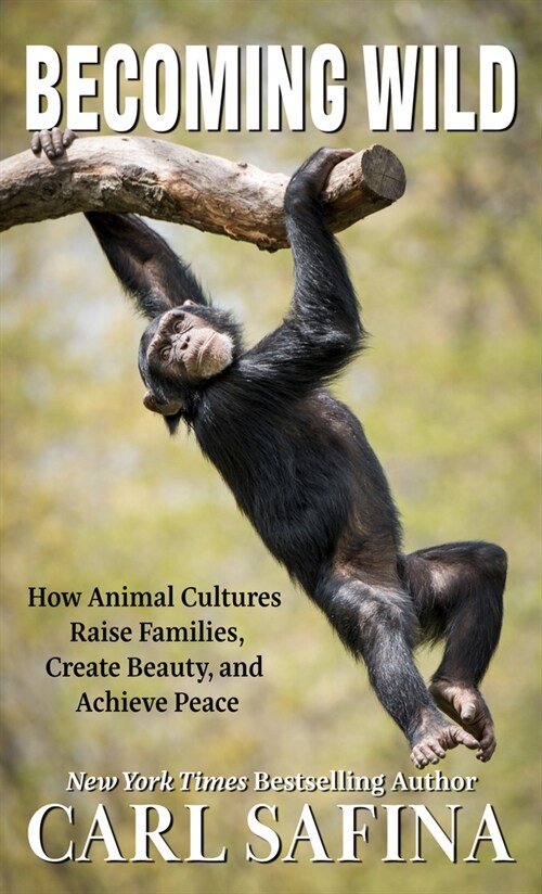 Becoming Wild: How Animal Cultures Raise Families, Create Beauty, and Achieve Peace (Library Binding)