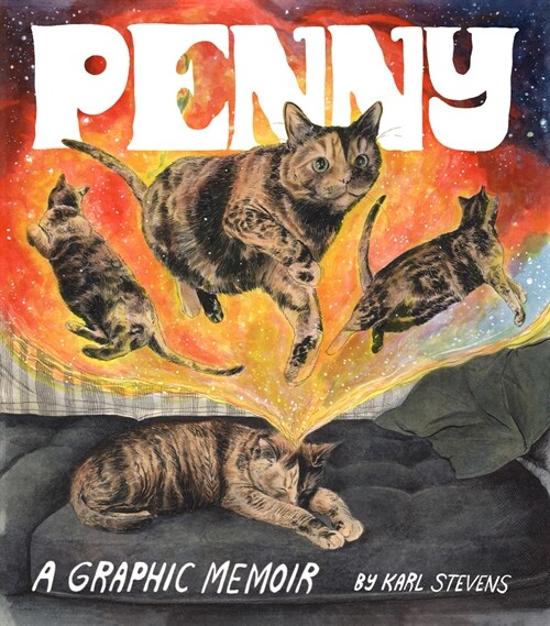 Penny: A Graphic Memoir (Paperback)