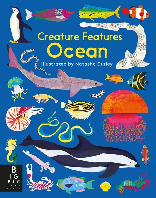 Creature Features: Ocean (Board Books)