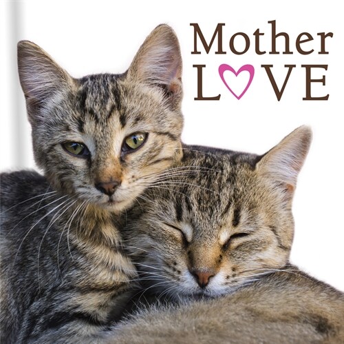 Mother Love (Cats) (Hardcover)