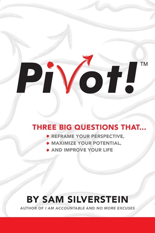 Pivot!: Three Big Questions That...Reframe Your Perspective, Maximize Your Potential, and Improve Your Life (Paperback)