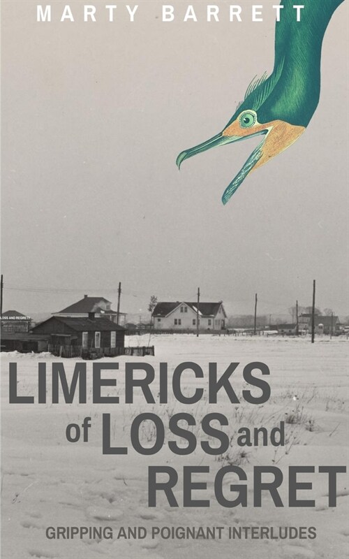 Limericks of Loss And Regret (Paperback)