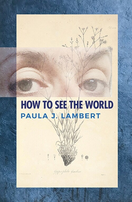 How to See the World: Poems (Paperback)