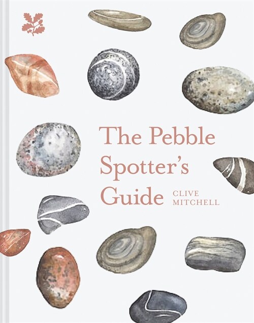 The Pebble Spotters Guide (Hardcover)