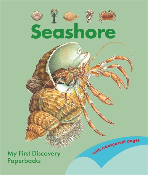 The Seashore (Paperback)