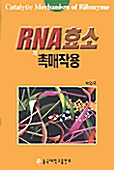 RNA 효소의 촉매작용