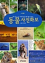 [중고] 동물 사진화보