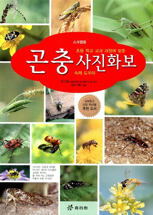 곤충 사진화보 숙제 도우미