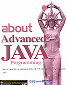 (About advanced) Java programming