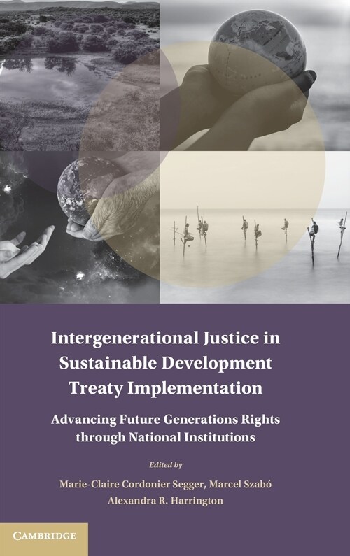 Intergenerational Justice in Sustainable Development Treaty Implementation : Advancing Future Generations Rights through National Institutions (Hardcover)