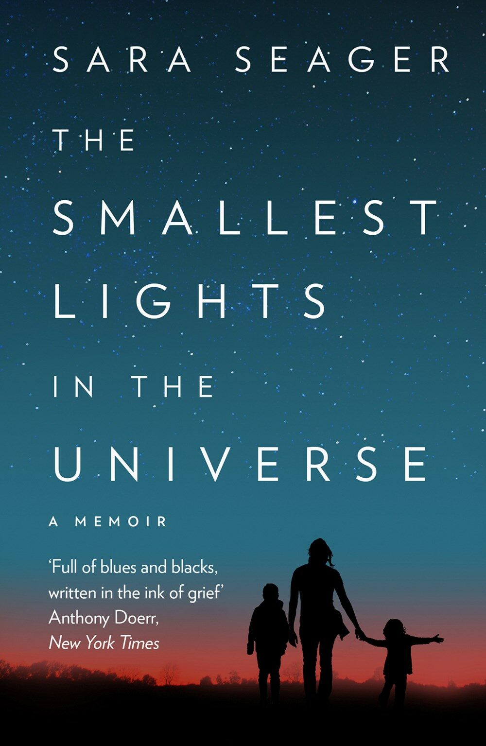 The Smallest Lights In The Universe (Paperback)