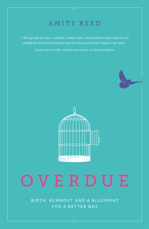 Overdue : Birth, burnout and a blueprint for a better NHS (Paperback)