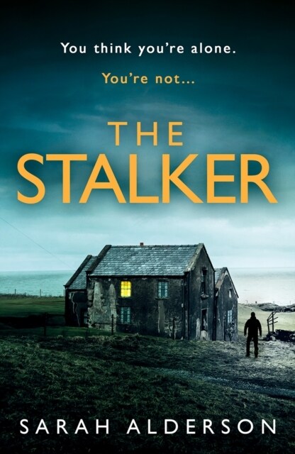 The Stalker (Paperback)