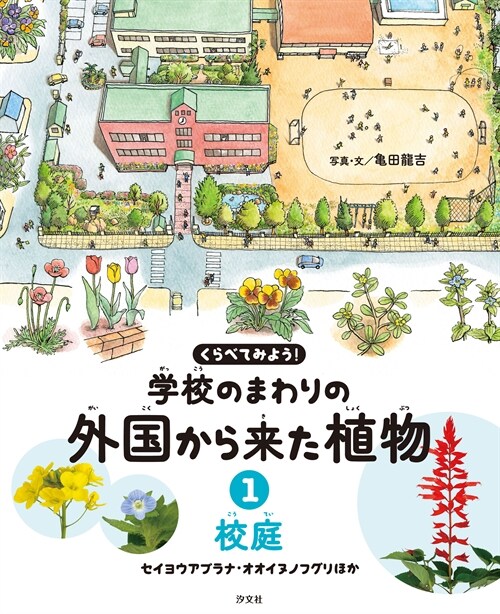 くらべてみよう!學校のまわりの外國から來た植物 (1)