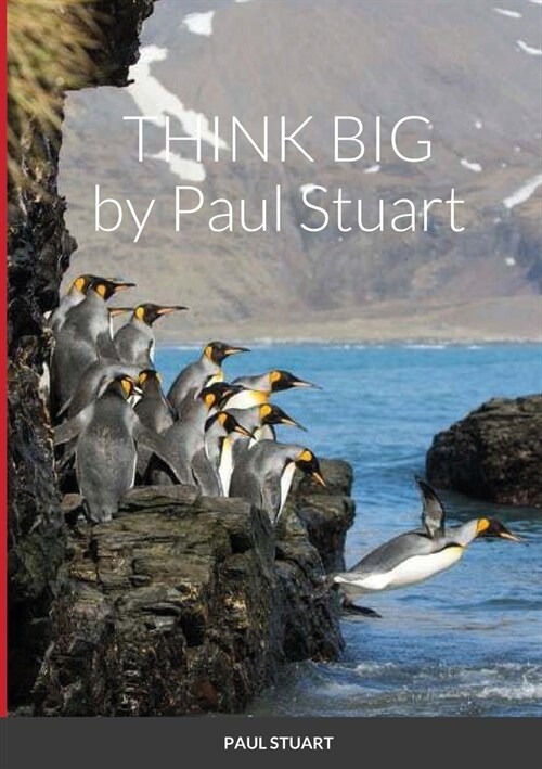 THINK BIG (Paperback)