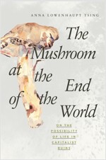 The Mushroom at the End of the World: On the Possibility of Life in Capitalist Ruins (Paperback)
