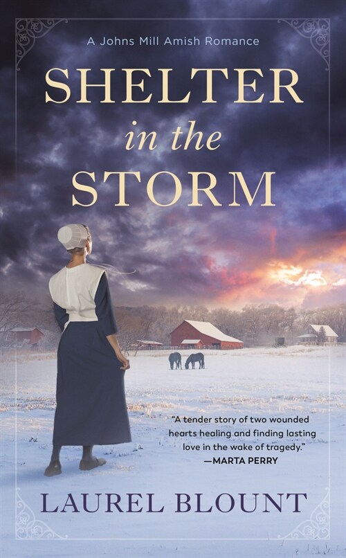 Shelter in the Storm (Mass Market Paperback)