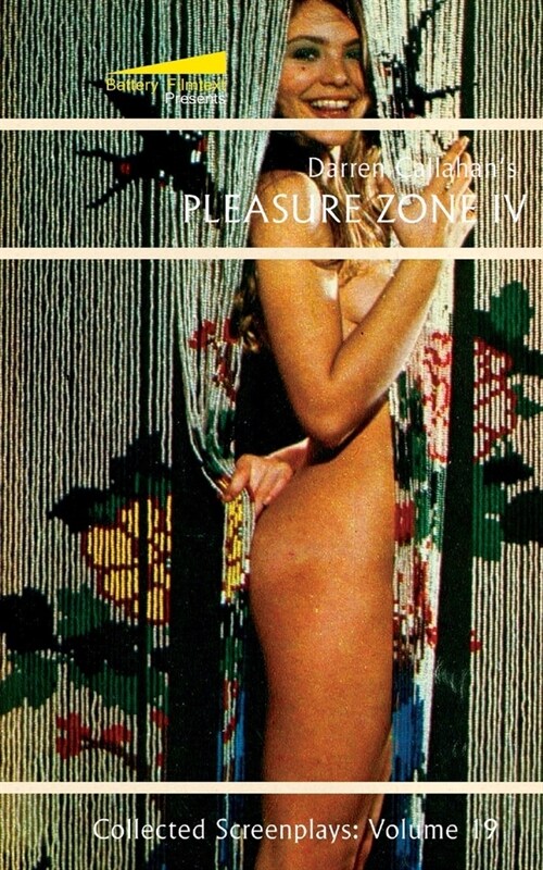 Pleasure Zone IV (Paperback)