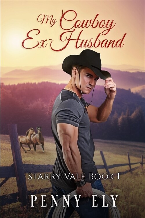 My Cowboy Ex-Husband (Paperback)