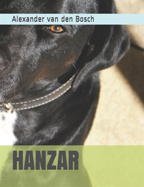 Hanzar (Paperback)