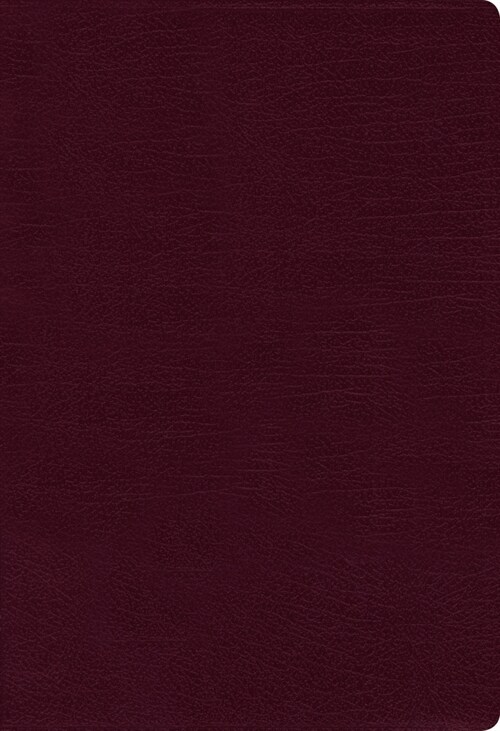 Nasb, Thinline Bible, Large Print, Bonded Leather, Burgundy, Red Letter Edition, 1995 Text, Thumb Indexed, Comfort Print (Bonded Leather)