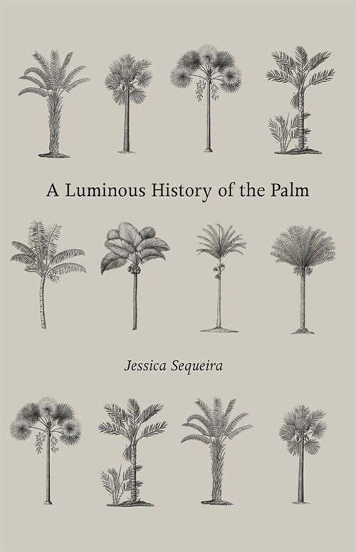 A Luminous History of the Palm (Paperback)