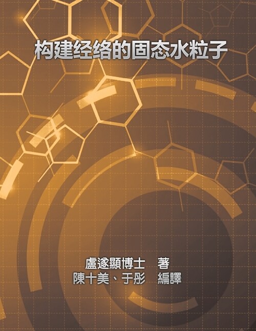 Solid Water Particles as Building Blocks of Meridians: 構建經絡的固態水粒子 (Paperback)