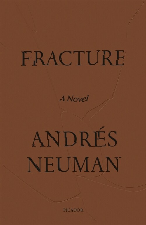 Fracture (Paperback)