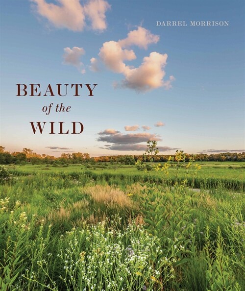 Beauty of the Wild: A Life Designing Landscapes Inspired by Nature (Hardcover)