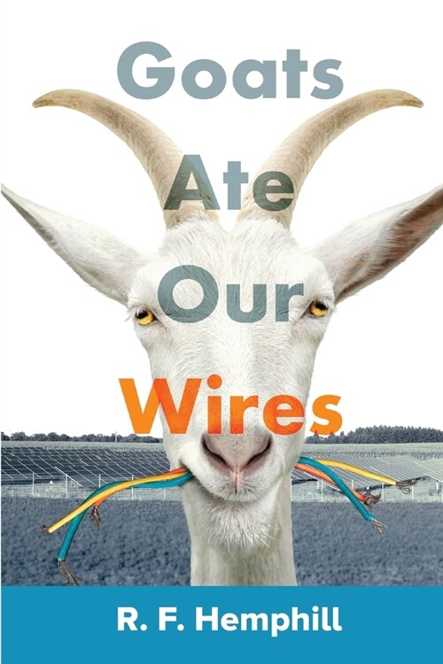 Goats Ate Our Wires: Stories of Travel for Business and Pleasure (Paperback)