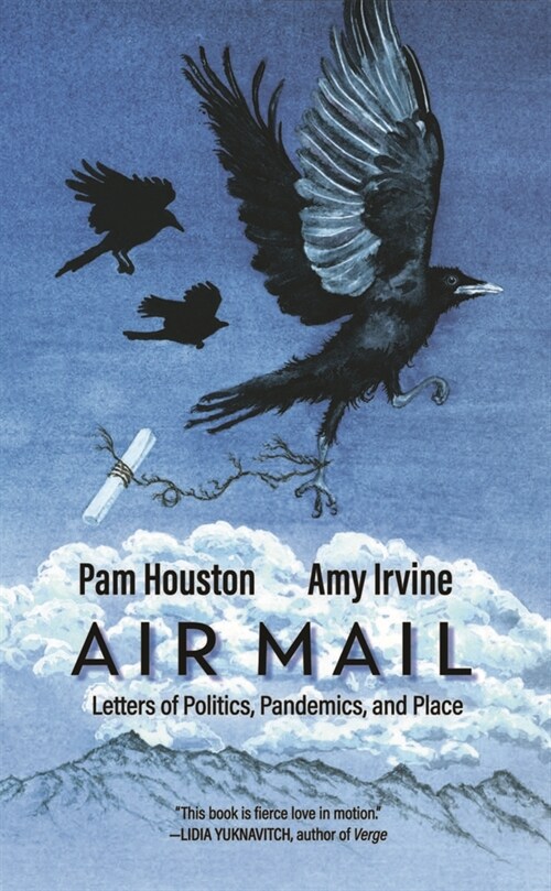 Air Mail: Letters of Politics, Pandemics, and Place (Paperback)