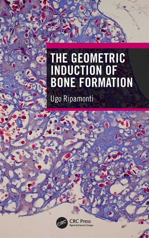 The Geometric Induction of Bone Formation (Hardcover)