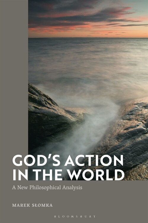 Gods Action in the World : A New Philosophical Analysis (Hardcover)