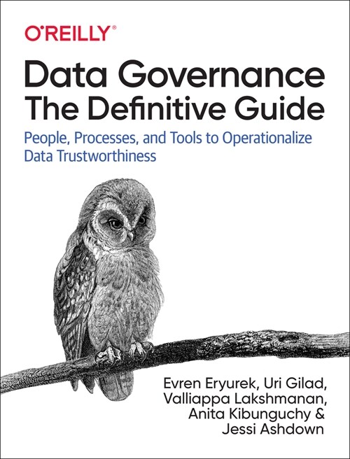 Data Governance: The Definitive Guide: People, Processes, and Tools to Operationalize Data Trustworthiness (Paperback)