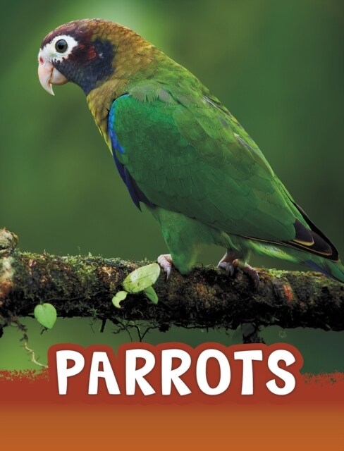 PARROTS (Paperback)