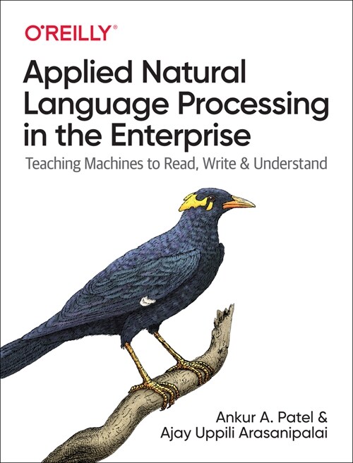 Applied Natural Language Processing in the Enterprise: Teaching Machines to Read, Write, and Understand (Paperback)