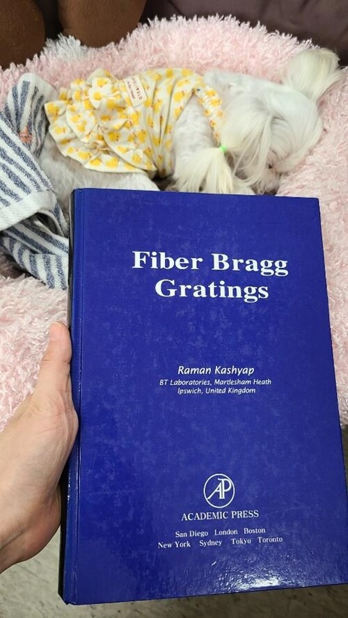 [중고] Fiber Bragg Gratings (Hardcover)