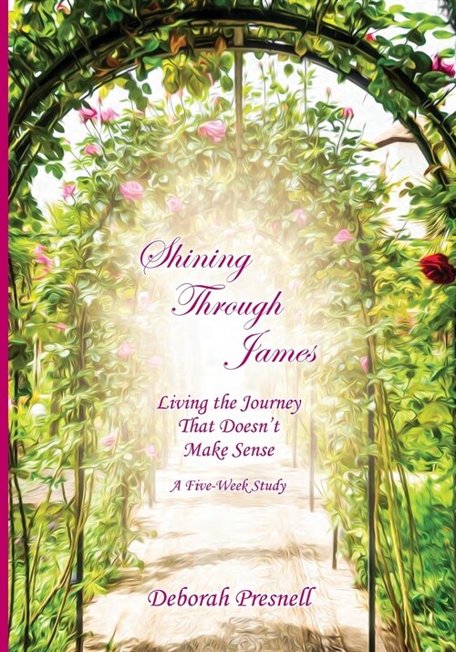 Shining Through James: Living the Journey That Doesnt Make Sense (Paperback)