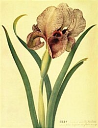 Journal: Irises (Hardcover)