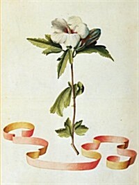 Card Wallet : Rose of Sharon (Paperback)