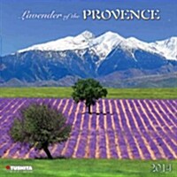 Lavender of the Provence (Paperback)