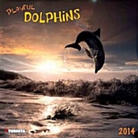 Playful Dolphins 2014 (Paperback)