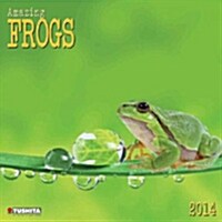 Amazing Frogs 2014 (Paperback)
