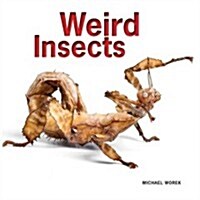 Weird Insects (Hardcover)