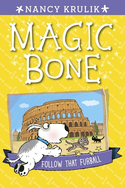 Magic Bone #3 : Follow That Furball (Paperback)