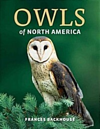 Owls of North America (Paperback)